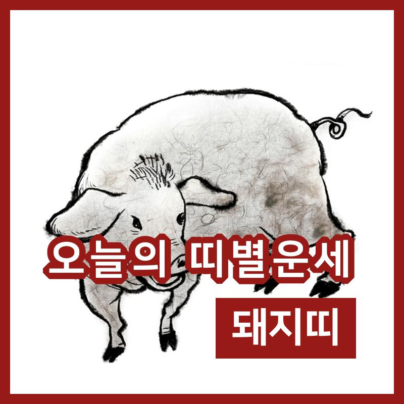 오늘의 운세 21일 돼지띠 행운의 숫자는 뭘까